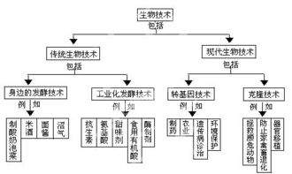 生物技術(shù)概念圖解讀 從酸奶與泡菜看知識產(chǎn)權(quán)在生物領(lǐng)域的應(yīng)用